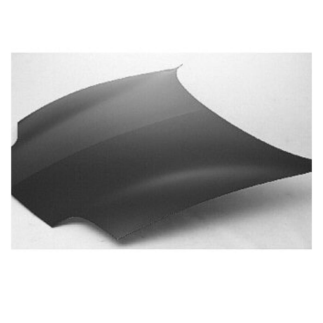 GM1230209C Body Panel Hood